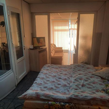 Apartament Garsoniera Del Dodo Alba Iulia Zewnętrze zdjęcie