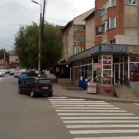 Apartament Garsoniera Del Dodo Alba Iulia Zewnętrze zdjęcie